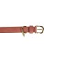 Collier Pour Chien Cuir Vegan Kentucky Pêche Collier Pour Chien Cuir Vegan Kentucky Pêche
