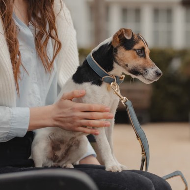 Collier Pour Chien Cuir Vegan Kentucky Marine