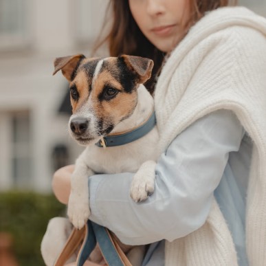 Collier Pour Chien Cuir Vegan Kentucky Marine