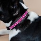 Collier Pour Chien Avec Perles Faites-main Kentucky Rose