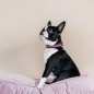 Collier Pour Chien Avec Perles Faites-main Kentucky Rose