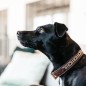 Collier Pour Chien Avec Perles Faites-main Kentucky Or