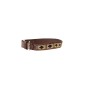 Collier Pour Chien Avec Perles Faites-main Kentucky Or