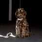 Collier Pour Chien Réfléchissant Kentucky