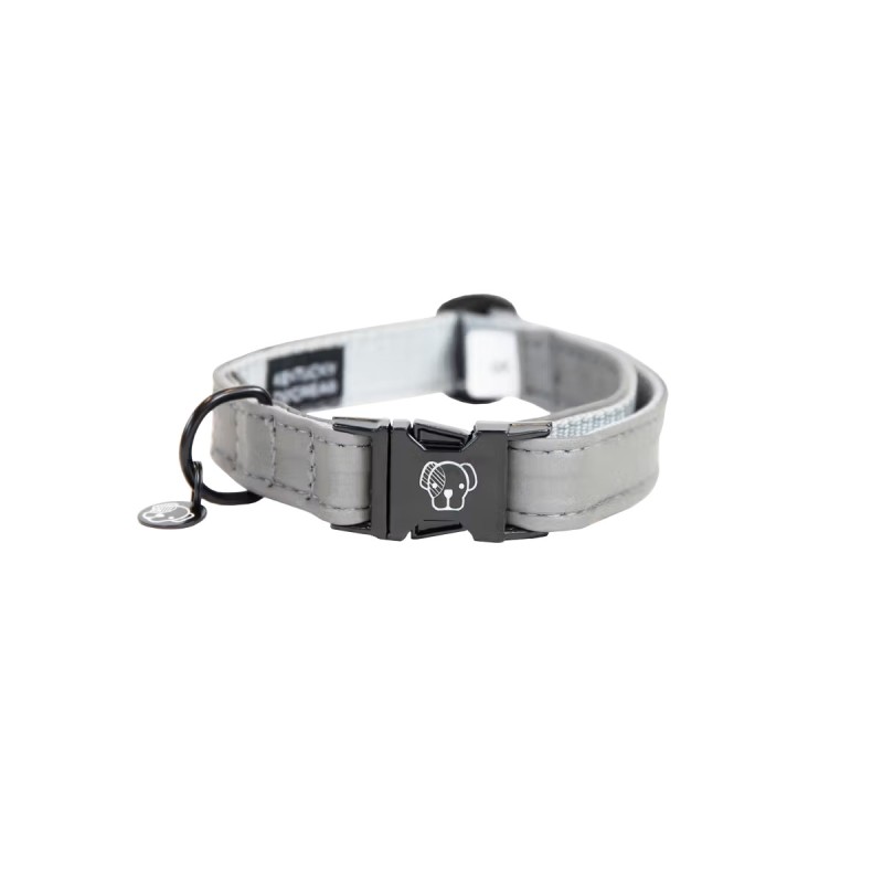 Collier Pour Chien Réfléchissant Kentucky