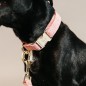 Collier Pour Chien Wool Kentucky Rose Collier Pour Chien Wool Kentucky Rose