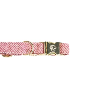 Collier Pour Chien Wool Kentucky Rose