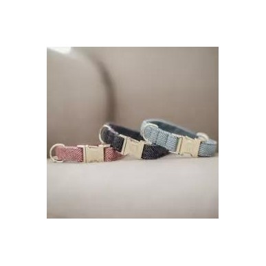Collier Pour Chien Wool Kentucky Gris