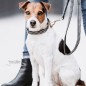Collier Pour Chien Pied-de-Poule Kentucky Noir Collier Pour Chien Pied-de-Poule Kentucky Noir