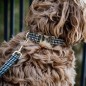 Collier Pour Chien Pied-de-Poule Kentucky Marron Collier Pour Chien Pied-de-Poule Kentucky Marron