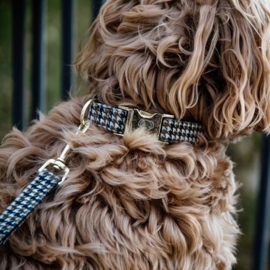 Collier Pour Chien Pied-de-Poule Kentucky Marron