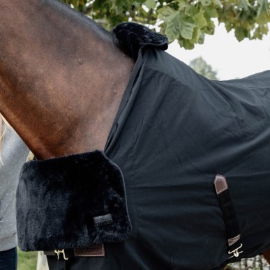 Protection de Garrot en Mouton Kentucky