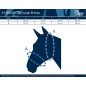 Masque anti-mouches B-free - Harry's Horse Masque anti-mouches B-free - Harry's Horse