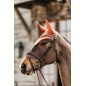 Bonnet Wellington Velvet Orange - Kentucky Bonnet Wellington Velvet Orange - Kentucky