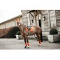Bonnet Wellington Velvet Orange - Kentucky Bonnet Wellington Velvet Orange - Kentucky