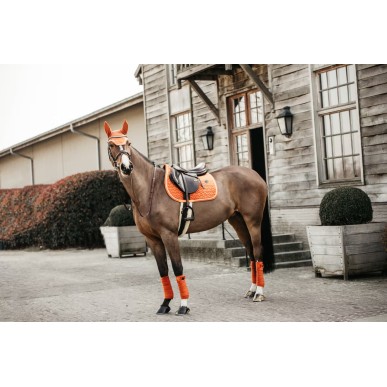 Bonnet Wellington Velvet Orange - Kentucky
