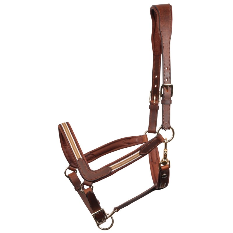 Licol en cuir Brun Flash - Harry's horse Licol en cuir Brun Flash - Harry's horse