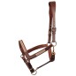 Licol en cuir Brun Flash - Harry's horse Licol en cuir Brun Flash - Harry's horse