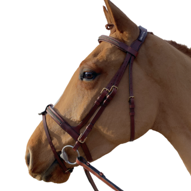 Bridon Cheval Goldy Marron – Cavaletti