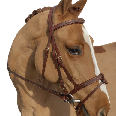 Bridon Cheval Goldy Marron – Cavaletti