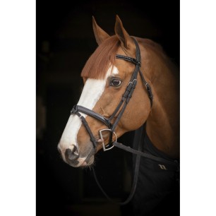 Bridon Pénélope Oxford Perforé Noir - Pénélope