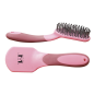 Brosse à crins TdeT bicolore Brosse à crins TdeT bicolore