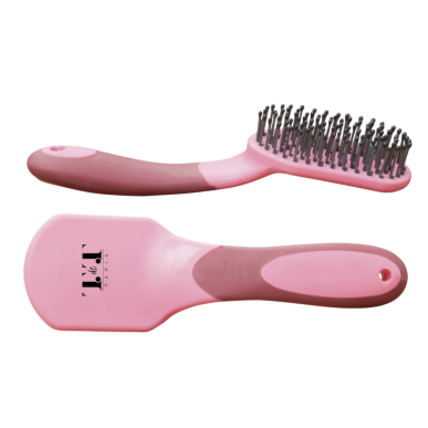 Brosse à crins TdeT bicolore