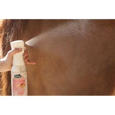Démélant Easy Shine Intense Ravene 500 ML