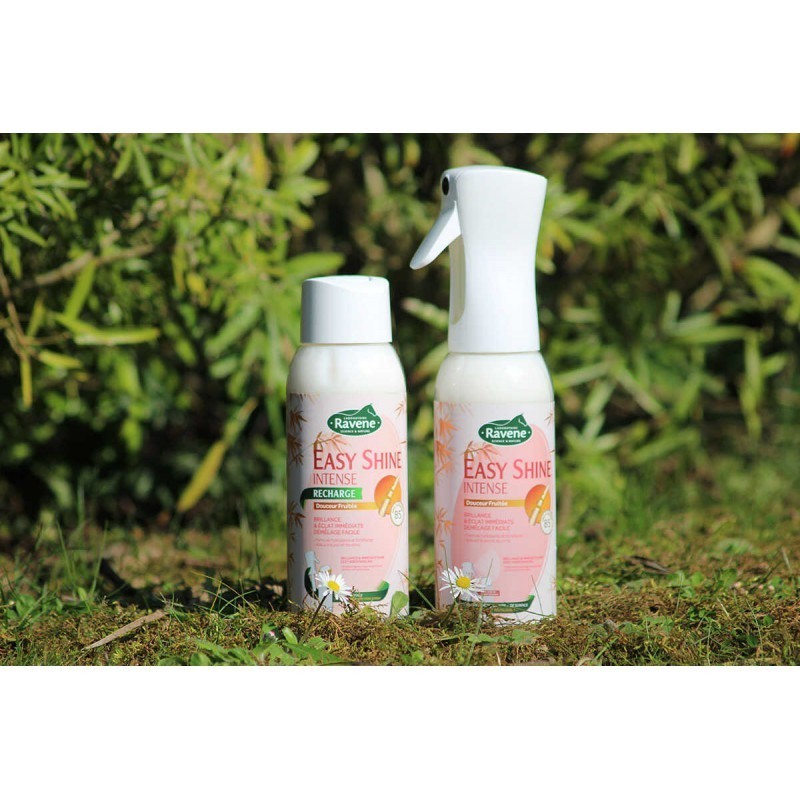 Recharge Démélant Easy Shine Intense Ravene 500 ML Recharge Démélant Easy Shine Intense Ravene 500 ML