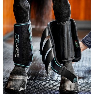 Guêtres Ice-Vibe Horseware Noir/Aqua