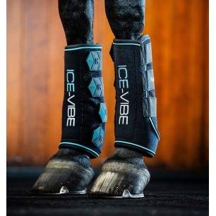 Guêtres Ice-Vibe Horseware Noir/Aqua