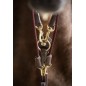 Gogue HFI MASTER en cuir - Marron Gogue HFI MASTER en cuir - Marron