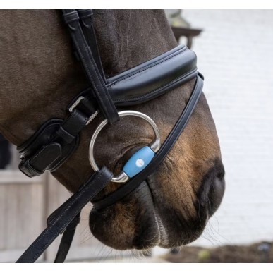Mors Velari à anneaux Eggbut droit Flex 20mm medium