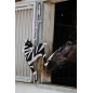 Jouet pour cheval zèbre cuir Hippo Tonic Jouet pour cheval zèbre cuir Hippo Tonic