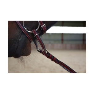 Rênes caoutchouc Ajustables Flags & Cup à 7 arrêtoirs