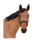 Licol Cuir Glitter Canter Mylord - Noir/Noir Licol Cuir Glitter Canter Mylord - Noir/Noir