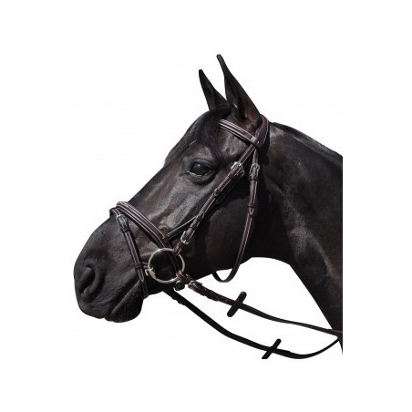 Bridon Flags and cup Lanaken Noir
