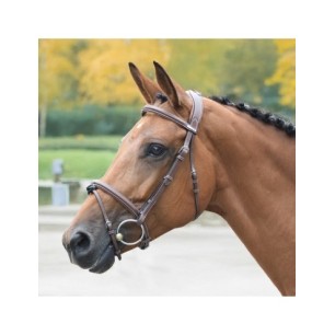 Bridon London muserolle combinée - Collection One