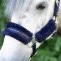 Licol et longe Harry's horse Denici Cavalli Purple Passion Crystal Licol et longe Harry's horse Denici Cavalli Purple Passion Crystal