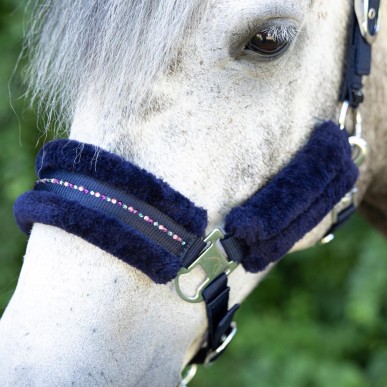 Licol et longe Harry's horse Denici Cavalli Purple Passion Crystal