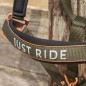 Licol et Longe Harry's horse Just ride Kambaba Kaki
