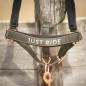 Licol et Longe Harry's horse Just ride Kambaba Kaki