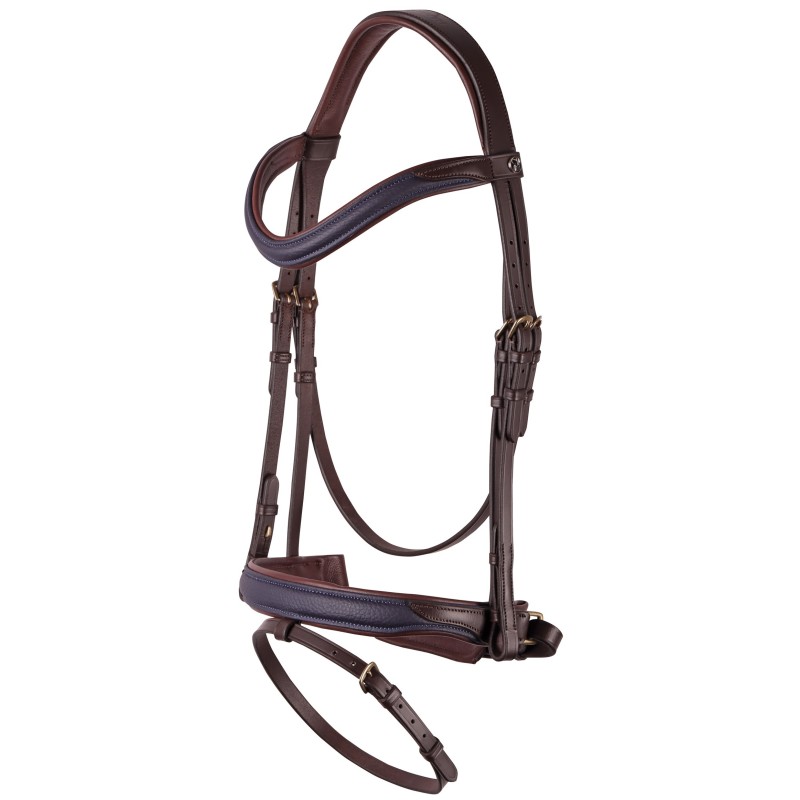 Bridon Havanna Navy Harry's horse