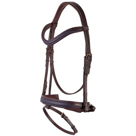 Bridon Havanna Navy Harry's horse