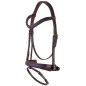 Bridon Havanna Navy Harry's horse