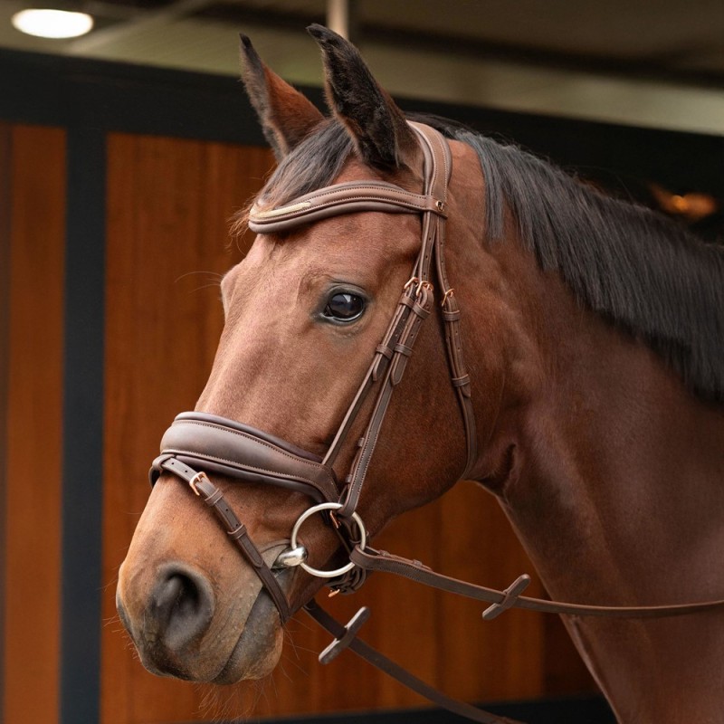 Bridon Soft Bombastic Harry's horse Marron