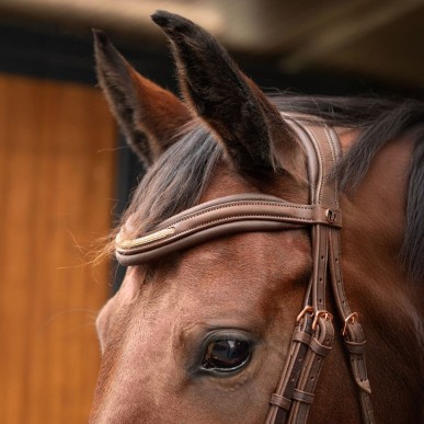 Bridon Soft Bombastic Harry's horse Marron