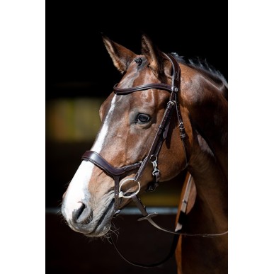 Bridon Anatomic Release Harry's horse Marron