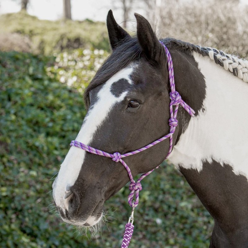 Licol éthologique en corde nouée Harry's horse Licol éthologique en corde nouée Harry's horse
