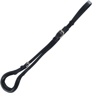 Croupière Canter